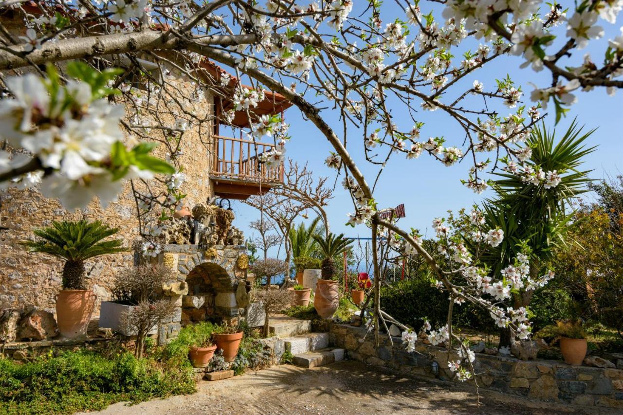 Traditional Windmill-Milos Kroustas Buitenkant foto